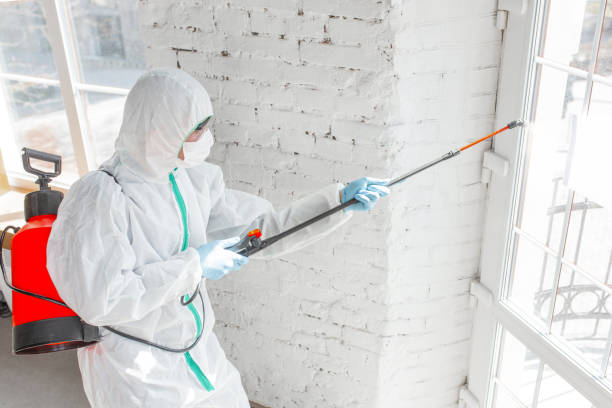 Trusted University Center, VA Mold Removal Experts